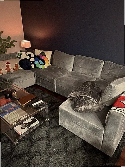 Large Sectional Couch