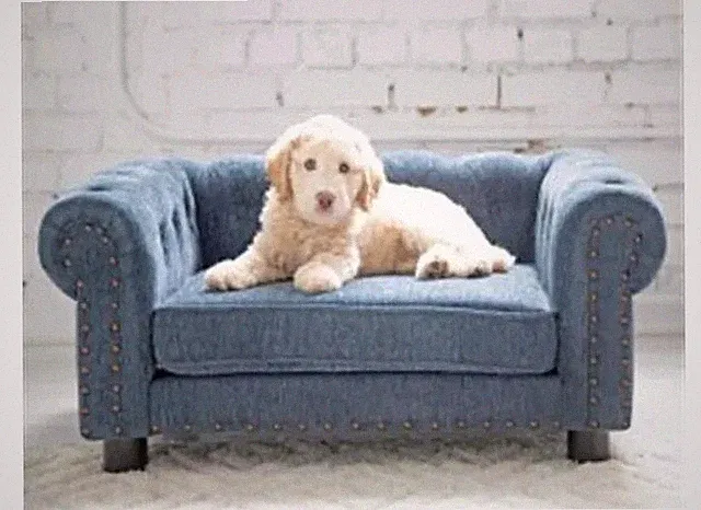 LAZBOY High Grade Tucson Blue Upholstery Furniture Pet Sofa Couch Dog Cat Bed