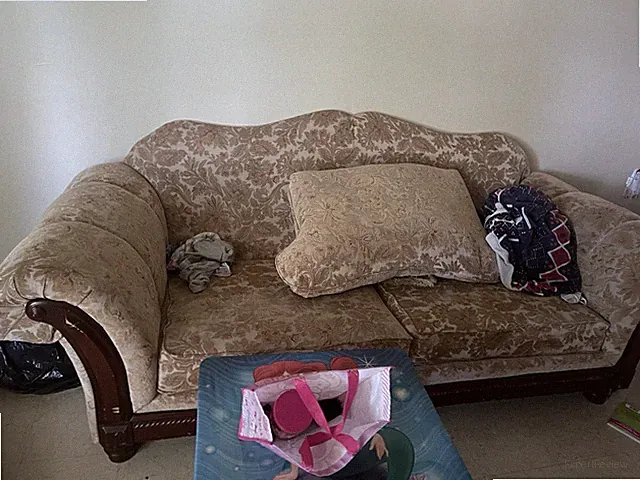 Light Brown Couch