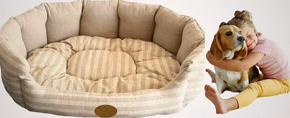 Lounger Pet Bed, Sofa and Couch Style Pet Bed for Dogs and Cats - Machine Wash