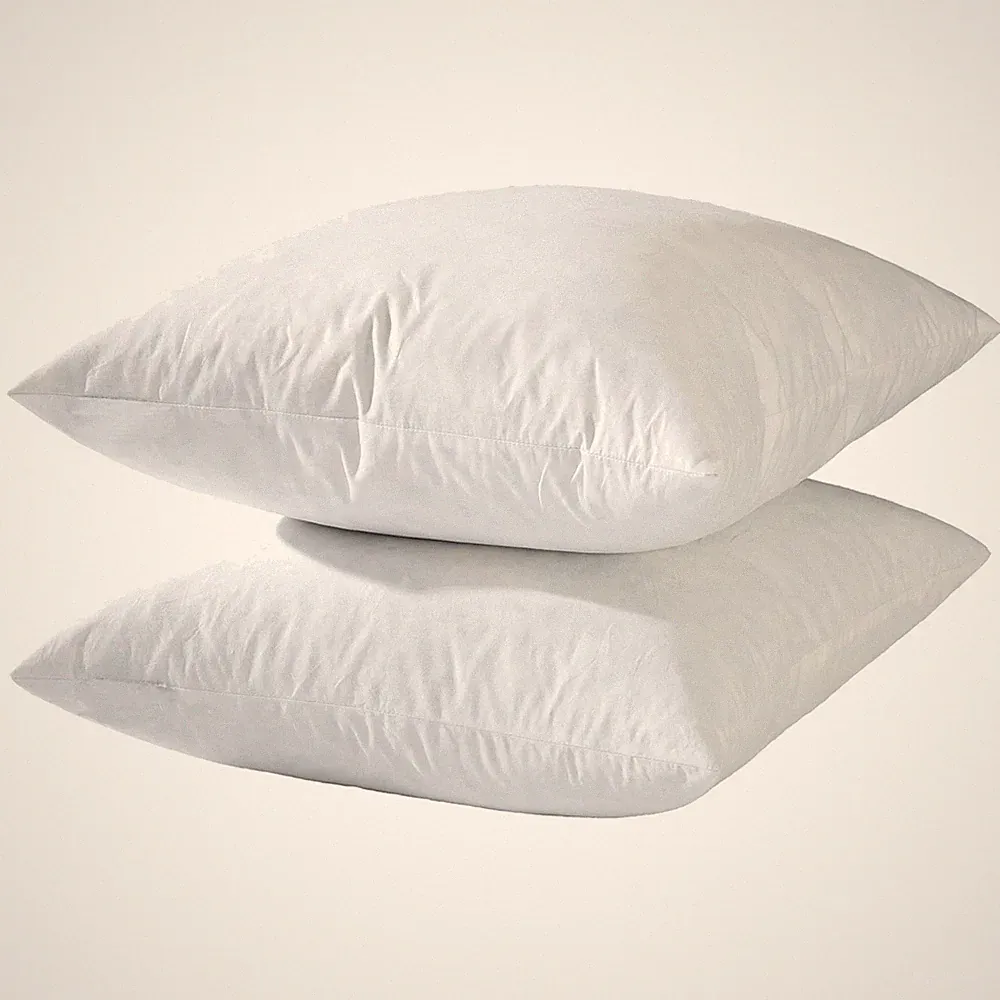 Luxe Goose Feather Sofa & Bed Pillow - Inserts 20x20