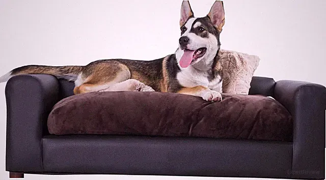 Luxurious Espresso Leatherette Pet Sofa for Medium/Large Dogs