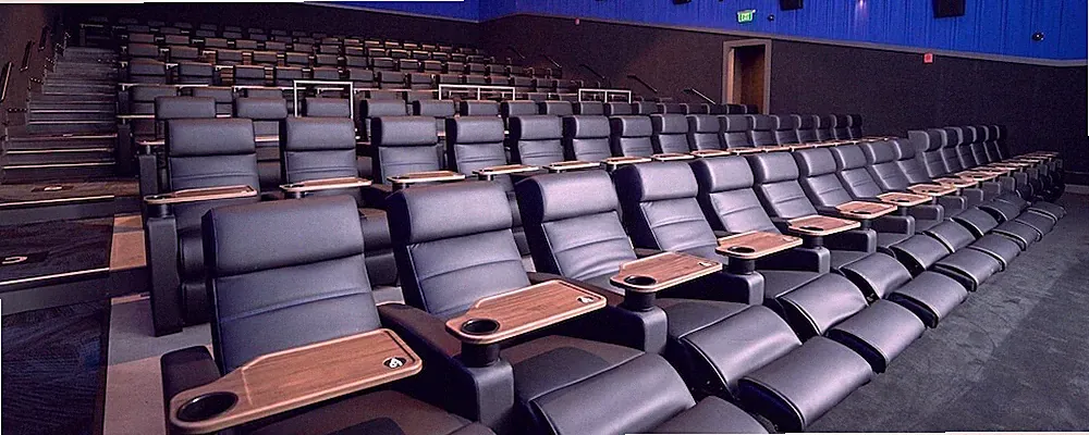 LUXURY HOME THEATER SEATING