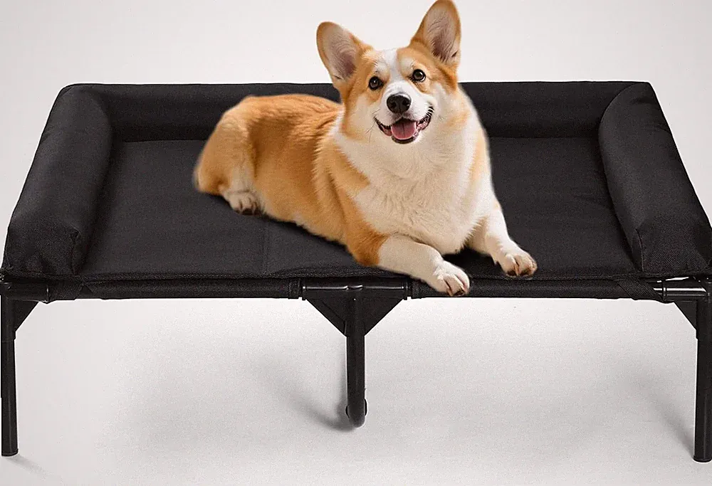 Medium Elevated Dog Bed with Bolster - Waterproof & Scratch-Resistant Couch