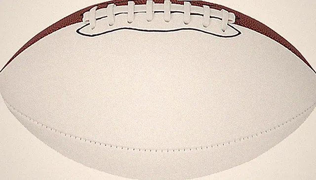 Mini 8.5-Inch Size Autograph Football with 2 Brown and 2 White Panels