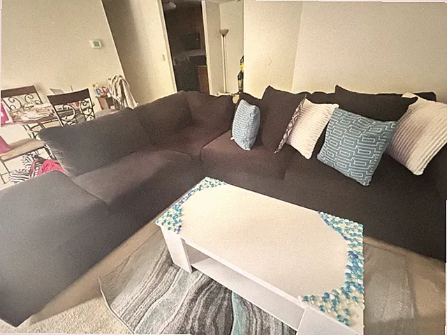 Modern Black Sectional Sofa with Decorative Throw Pillows