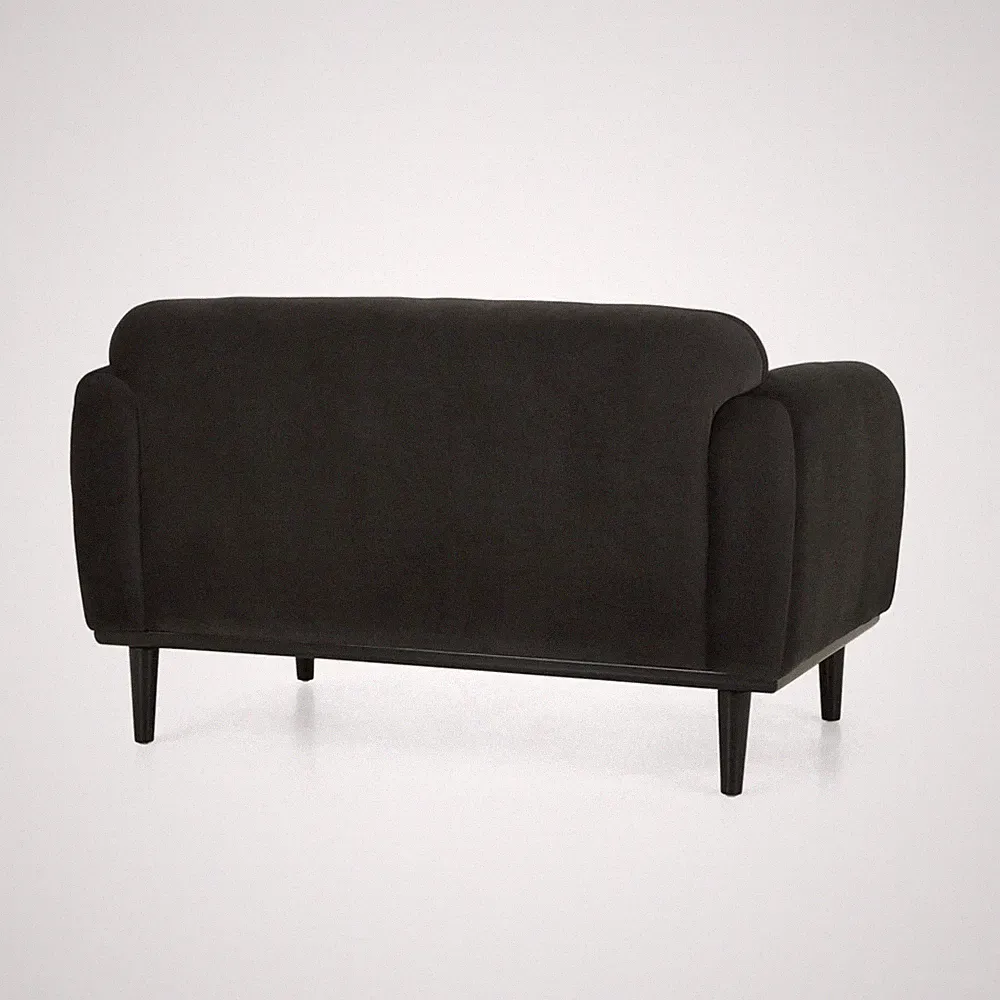 Modern Dark Gray Loveseat Sofa, Comfortable Upholstery, Birch Wood Legs