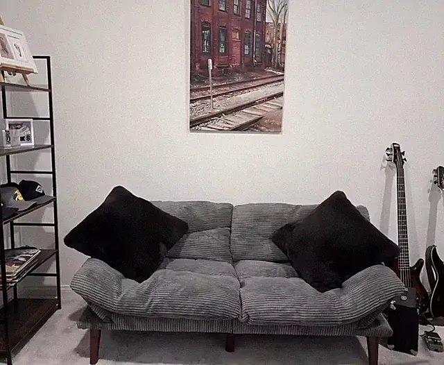 Modern Gray Fabric Sofa with Plush Cushions