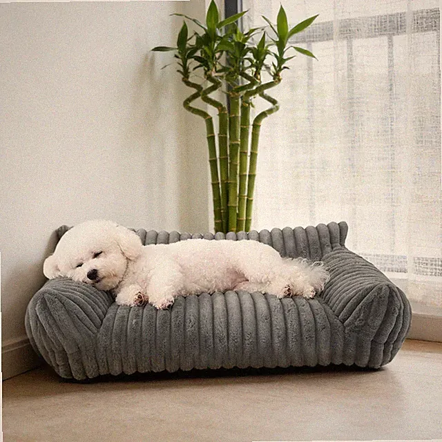 Modern Pet Sofa Low Back Lounging Bed With Removable Cushion Pillow For Dog Cat