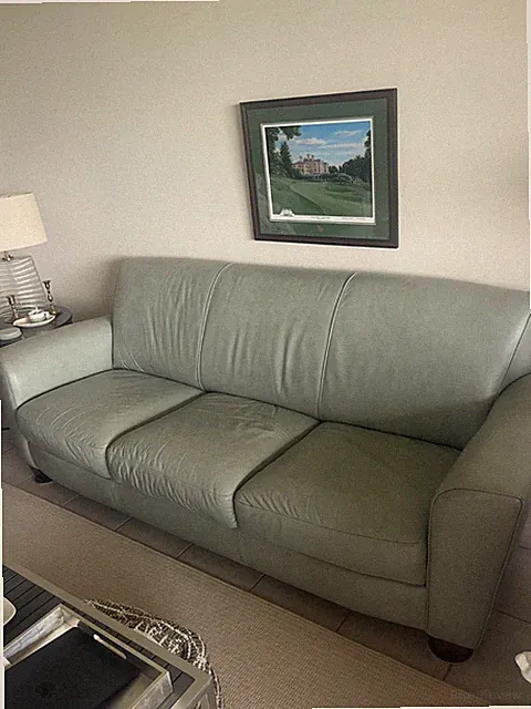 natuzzi leather furniture Sofa and Loveseat in Bonita Springs
