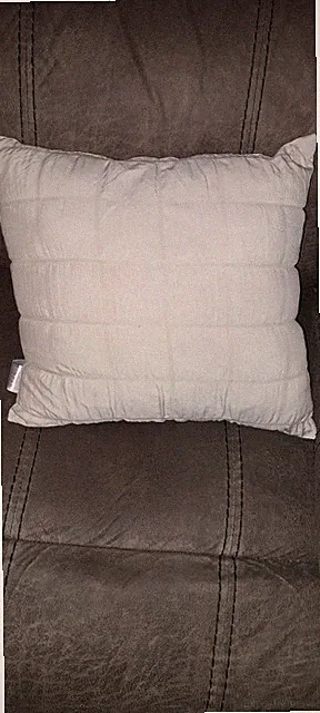 New Couch Pillow