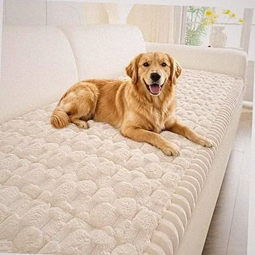 Non Slip Couch Covers for Dogs, Scratch Resistant Pet Sofa 27.6"x59" Cream