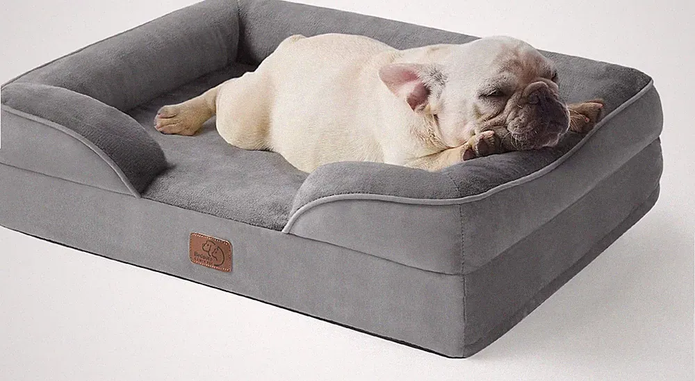 Orthopedic Bolster Dog Sofa Bed with Removable Cover, Medium