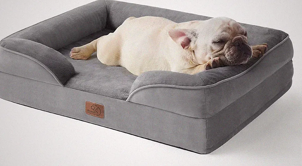 Orthopedic Bolster Dog Sofa Bed with Removable Cover, Medium