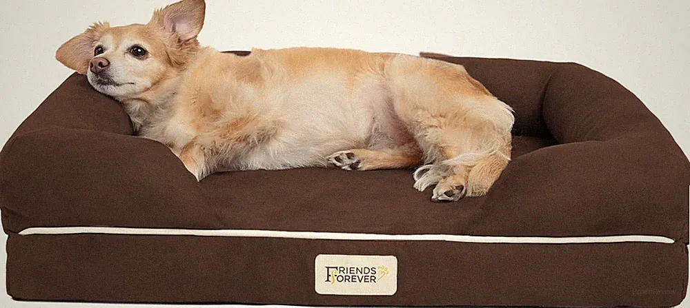 Orthopedic Dog Bed, Memory Foam Pet Sofa, Calming Dog Couch, Water Resistant Pet