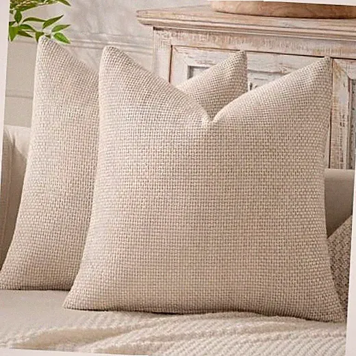 Pack of 2 Couch Throw Pillow Covers 20x20 Inch 20" x 20" (Pack of 2) Beige