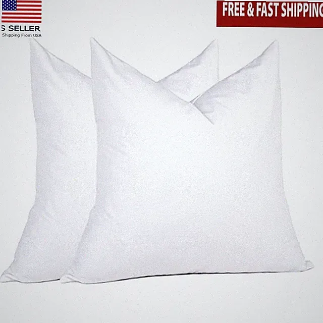 Pack of 2, White Down Feather Pillow Stuffer, for Bed, Couch, and Cushion