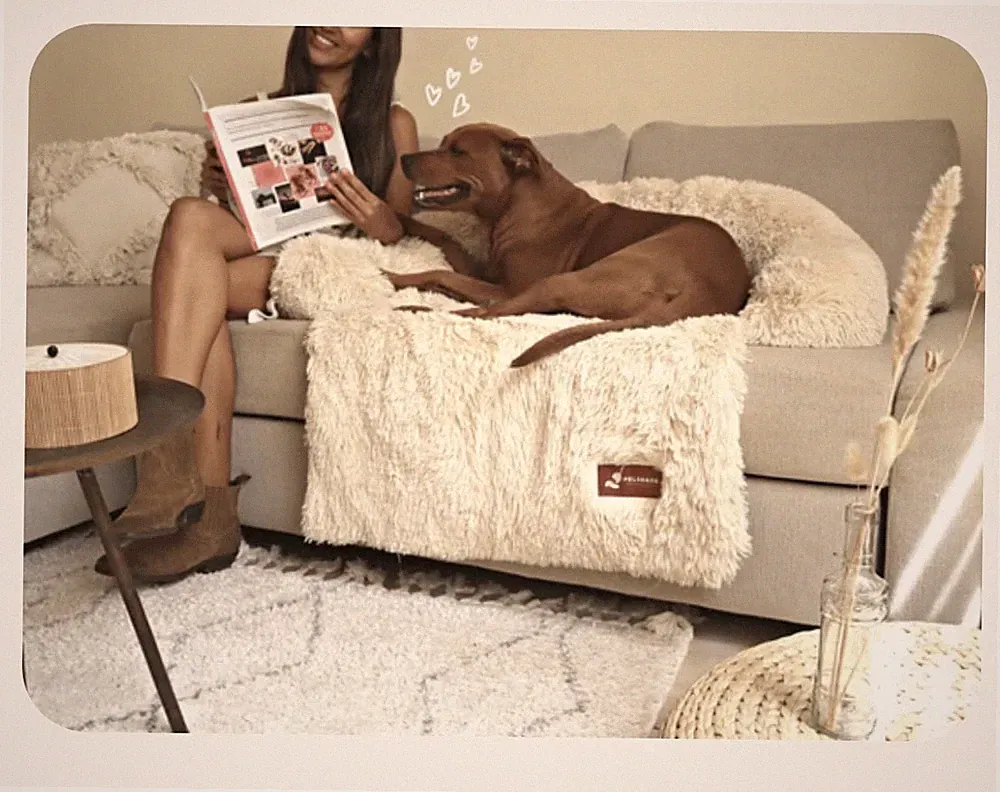 Pelsbarn Dog Bed for Couch Sofa w Non-Slip Oxford Bottom Large Beige 33x33 in
