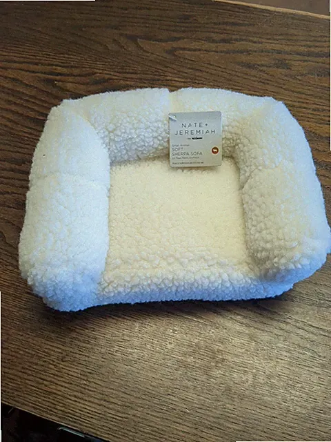 Pet Couch