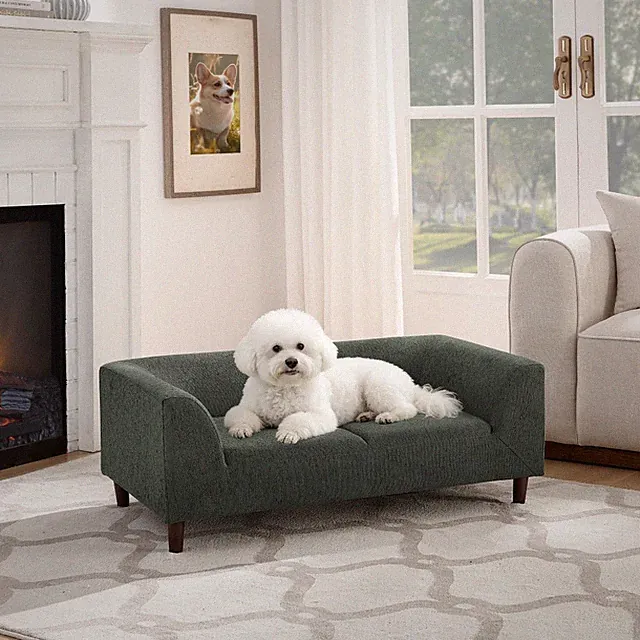 Pet Sofa with Backrest and Armrests Modern Rectangular for Small Medium Dogs