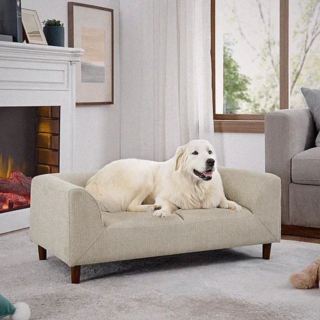 Pet sofa with backrest and armrests, modern rectangular pet sofa suitable for s