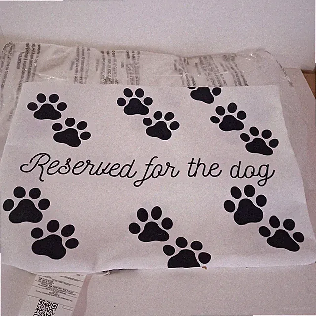 Pillow with Dog Cover