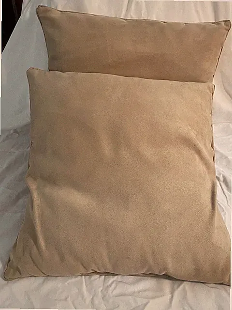Plush Pillows for Couch - Set of 2