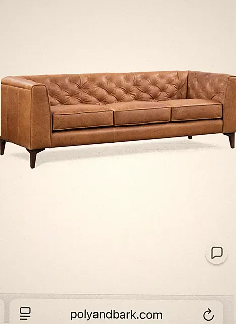 Poly and Bark Leather Couch