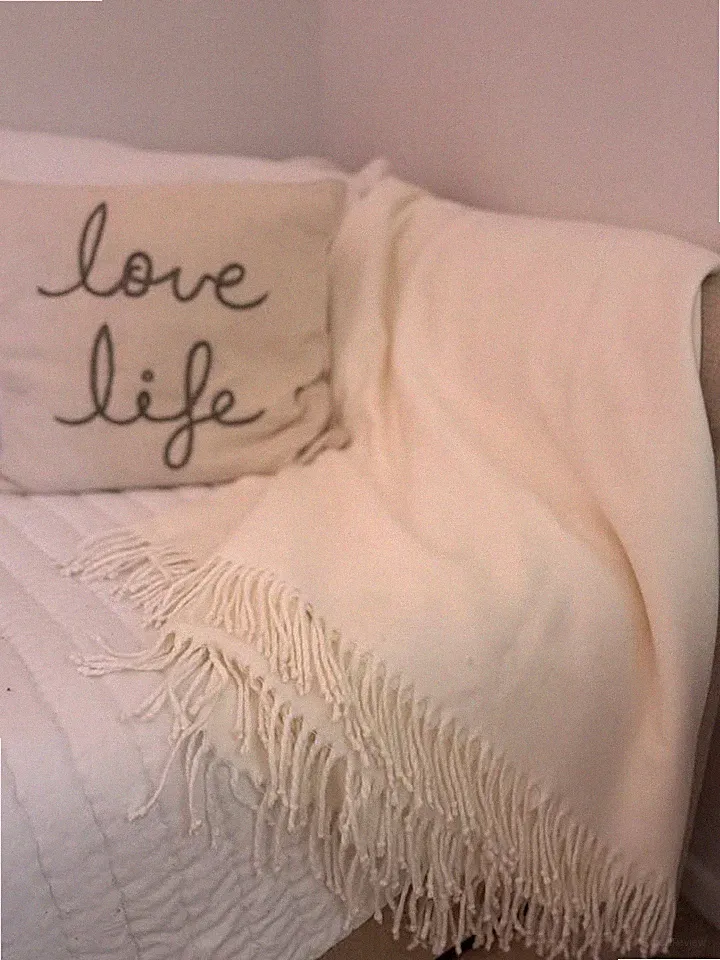 Pottery Barn Sofa Bed