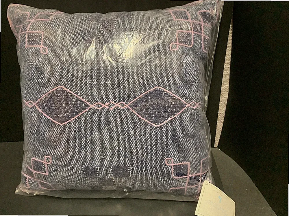 Pottery Barn Kids HAZEL INDIGO Decorative PILLOW Teen Sofa Bed Bedroom Gift NEW