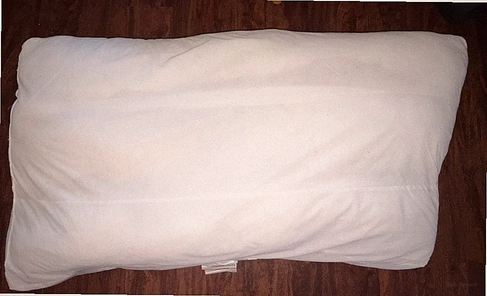 Pottery Barn Seabury Replacement Sectional Sofa LG Slant DOWN BACK Pillow INSERT