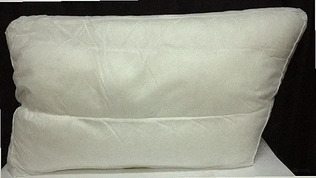Pottery Barn sectional chair sofa Small slant Back pillow cushion POLY INSERT