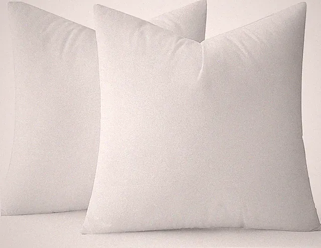 Premium 17x17 Pillow Inserts Set of 2 for Sofa, Couch, and Bed Decor
