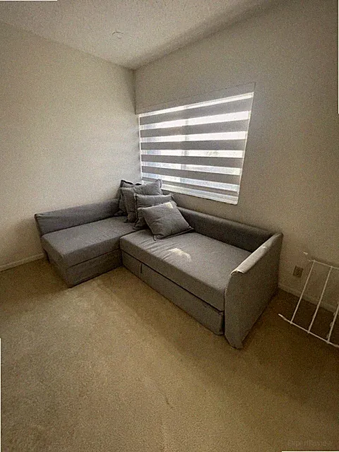 Queen Bed Sofa