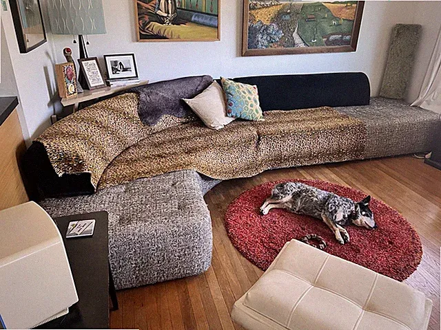 Retro Modern Curved 2-piece Sectional Sofa : huge & comfy