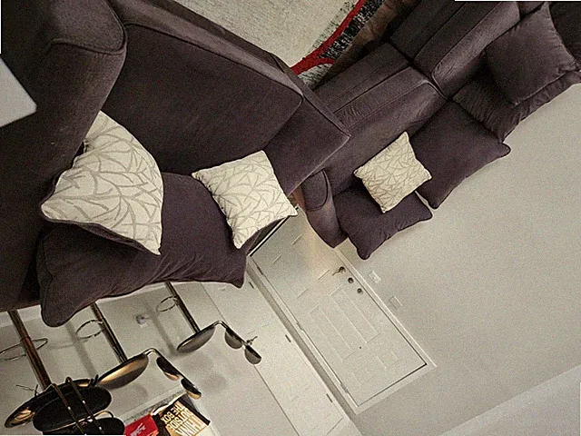 sectional couch living room, Loveseat, storage ottoman and rug