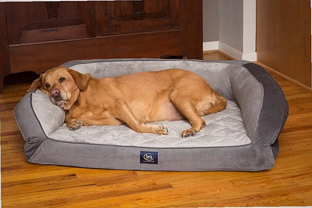 Serta Quilted Couch Dog Bed, X-Large, L 46" X W 34" W H 10", GRAY *FREE SHIPPING