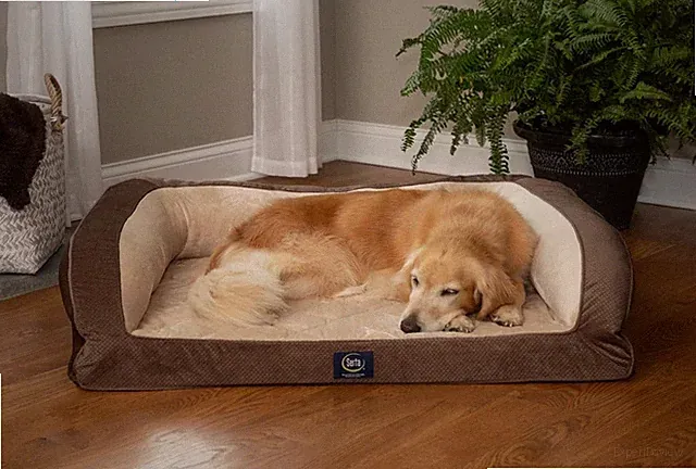 Serta Quilted Couch Dog Bed, X-Large, L 46" X W 34" W H 10" MOCHA *FREE SHIPPING