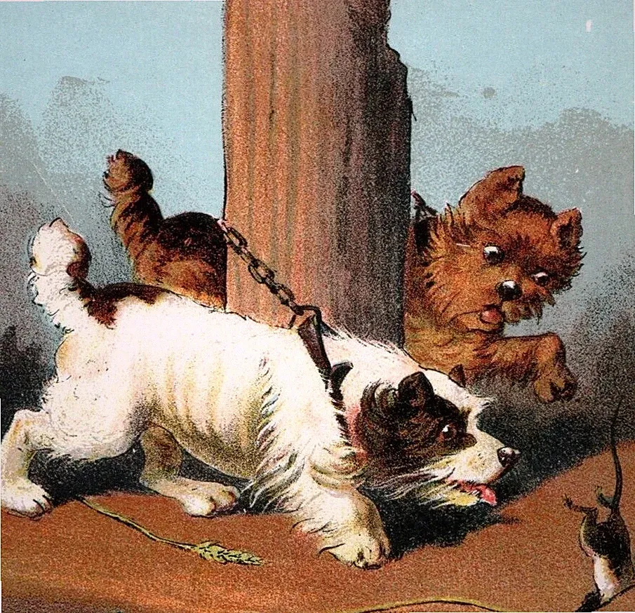 Sidney Squires & Co Automatic Sofa Bed Terrier Chasing Rat Victorian Trade Card
