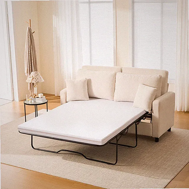 Sleeper Sofa Bed, Pull Out Couch with Mattress, 74'' 2 Seater Upholstery Section