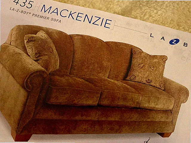 Slightly Used Supreme Comfort Queen Sleeper Sofa
