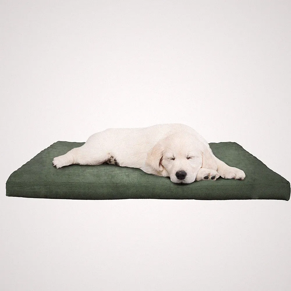 Small Dog Bed Orthopedic Pet Bed Crate Pet Sofa with Removable Cover, Green