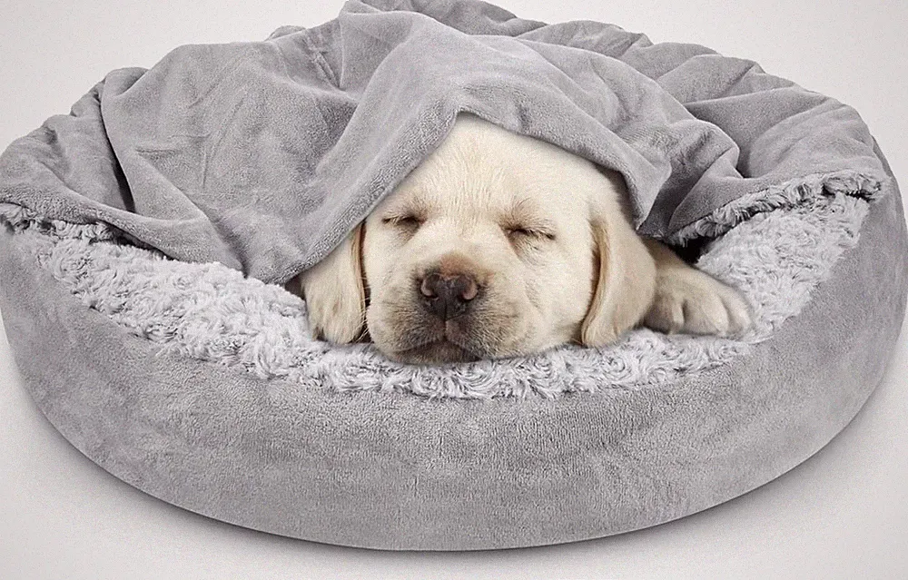 Small Dog cat Bed with Cozy Cuddler Blanket Donut Calming Anti-Anxiety Burrow