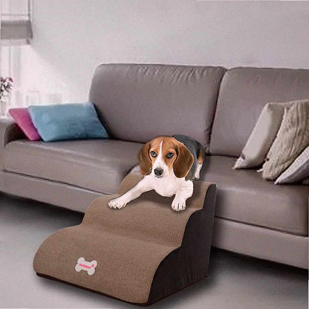 Small Dog Teddy On The Sofa To Bed Climbing Ladder Slope Model