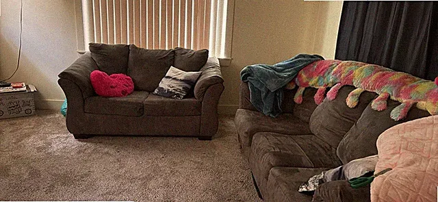 Sofa and Loveseat Set Moving, No Room for It Willing To Negotiate