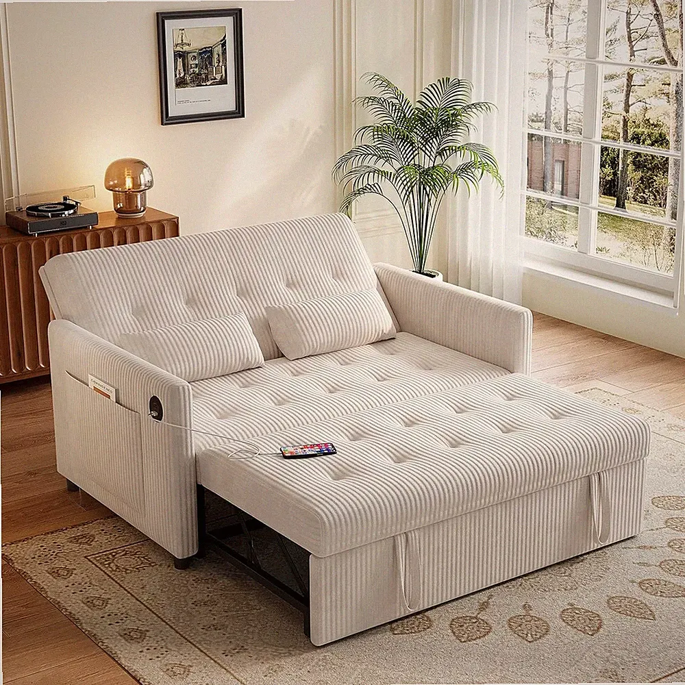 Sofa Bed, Loveseat 3-in-1 Sleeper Sofa with Pull Out Bed, Poets and USB