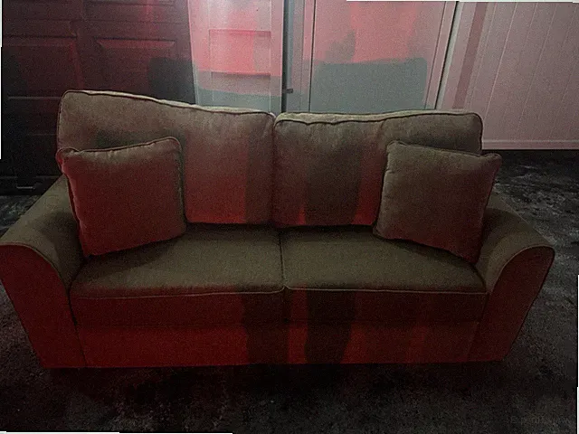 Sofa With Love Seat And Pull Out Bed