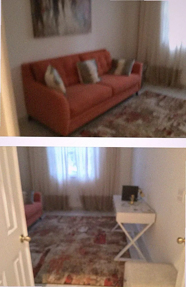 Sofa With Queen Size Fold Out Bed An Mattress With Coordinating 5’x7 Rug