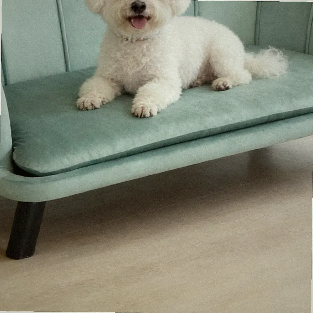 Spacious Velvet Dog Sofa, Pearl Detail Pet Bed, Birch Wood Legs, Machine
