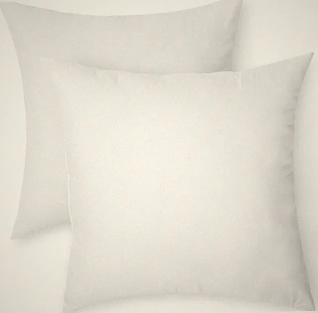Square Hypoallergenic Pillow Insert,Sofa Bed Couch Decorative Stuffer,20"2 Pack